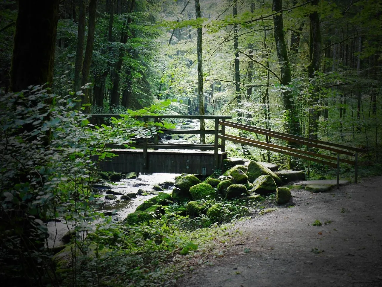 Apartamento Fewo Kedo Neukirchen vorm Wald