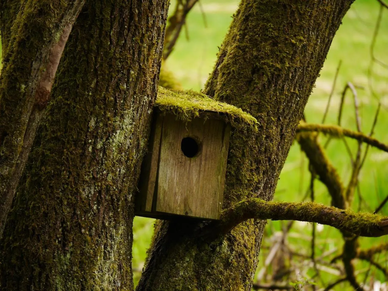 Apartment Fewo Kedo Neukirchen vorm Wald Germany