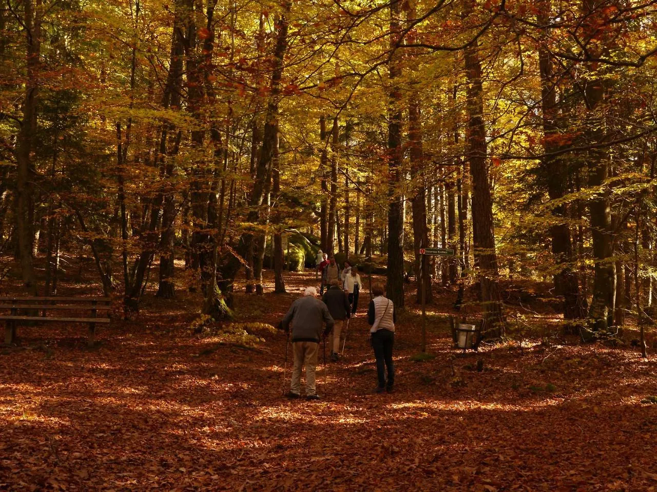 Fewo Kedo Neukirchen vorm Wald Apartamento