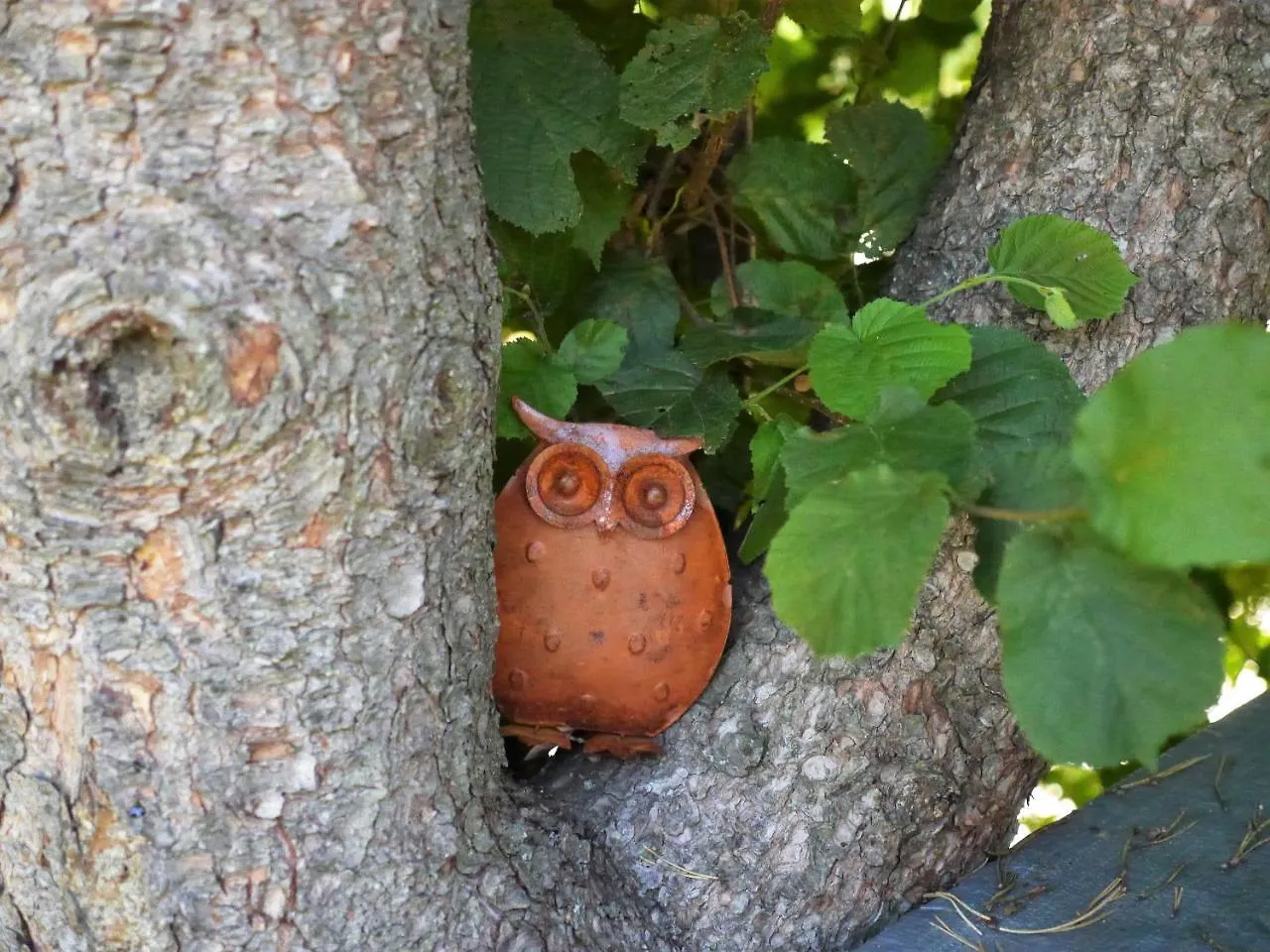 Fewo Kedo Neukirchen vorm Wald Alemania