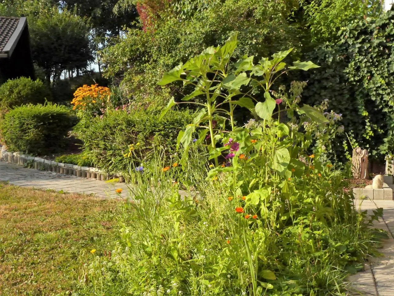 Apartment Fewo Kedo Neukirchen vorm Wald